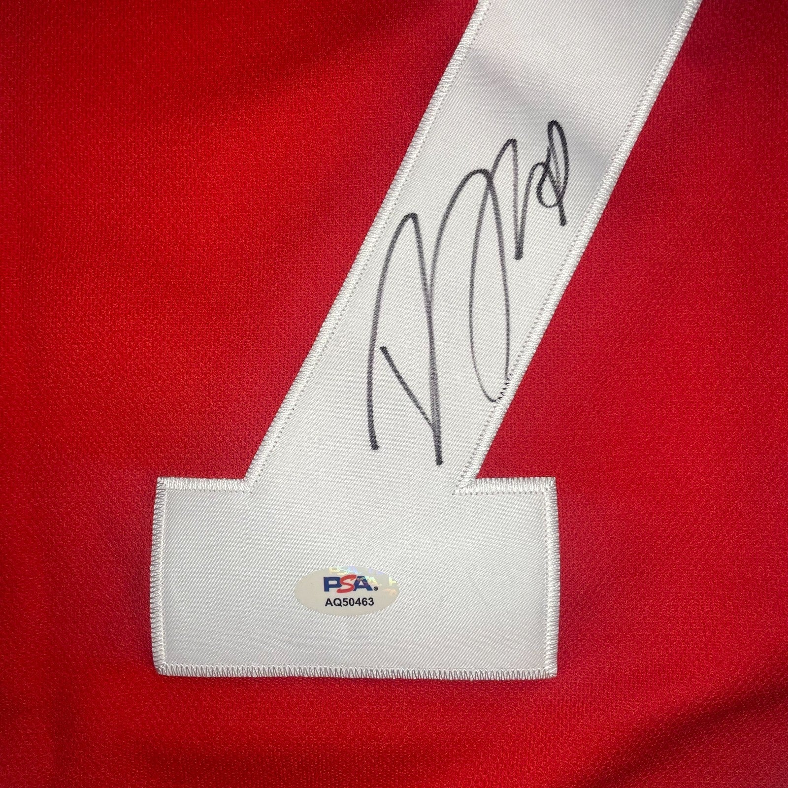 Dylan Larkin Signed Jersey PSA/DNA Autographed Detroit Red Wings