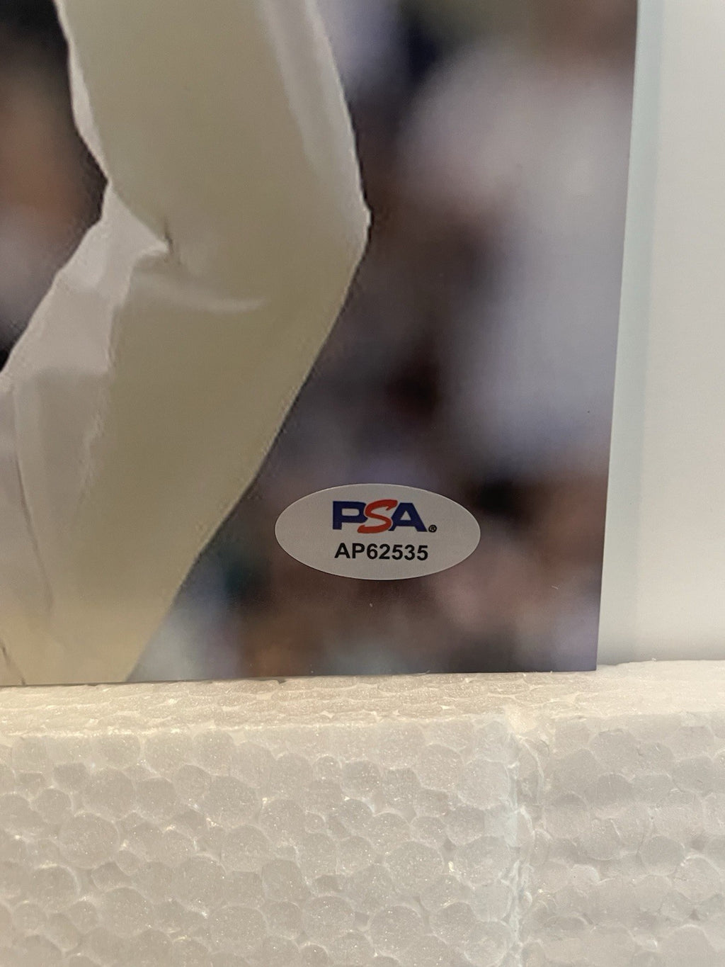 Novak Djokovic Signed 8x10 Photo PSA/DNA Autographed Tennis GOAT Wimbledon