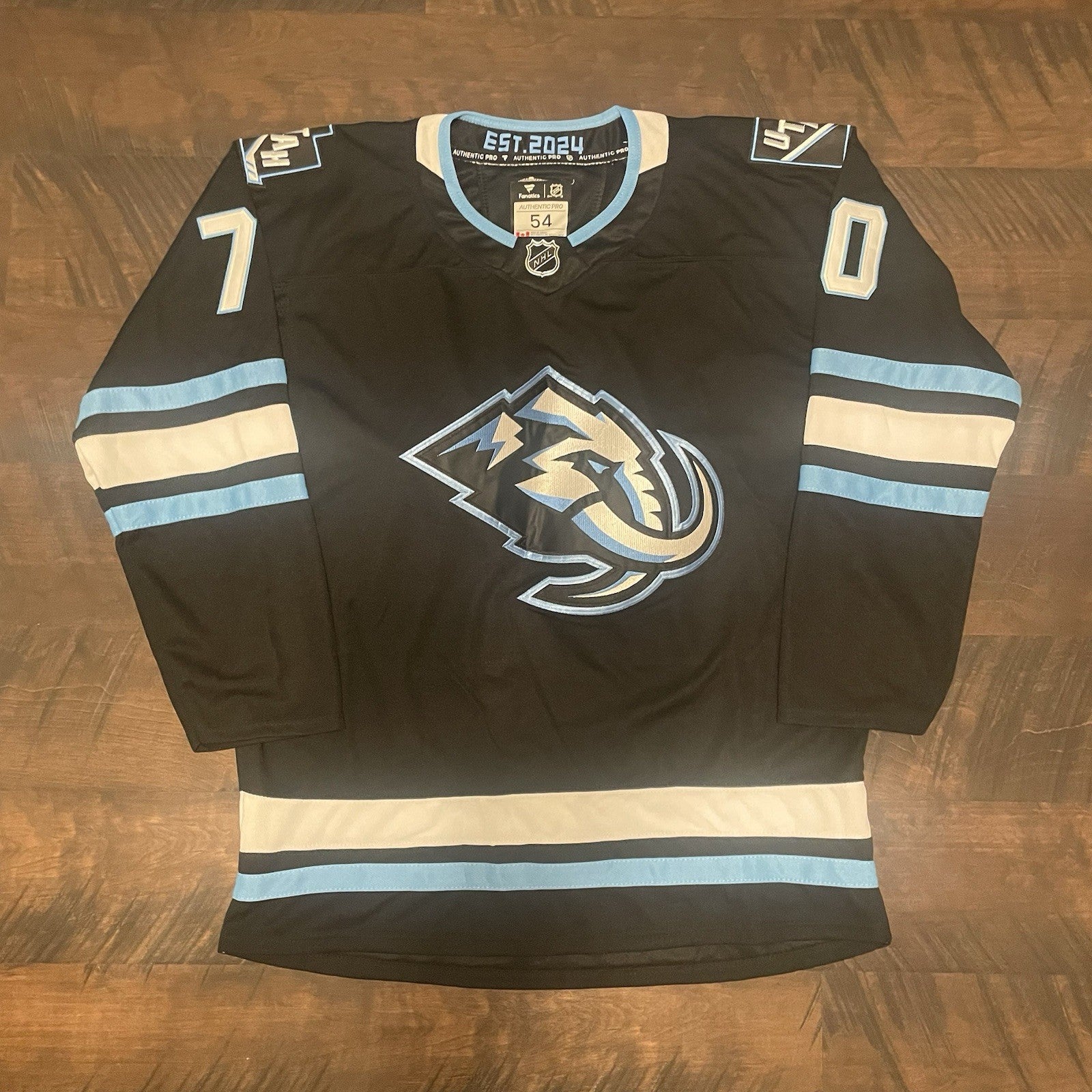 Karel Vejmelka Signed Jersey PSA/DNA Autographed Utah Mammoth Inscribed Veggie
