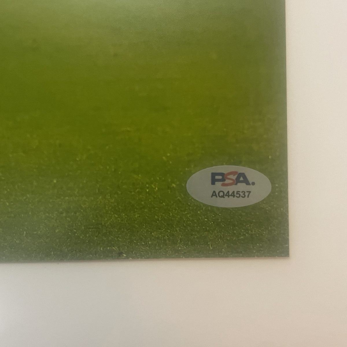 Desire Doue Signed 8x10 Photo PSA/DNA Autographed France PSG Désiré Doué