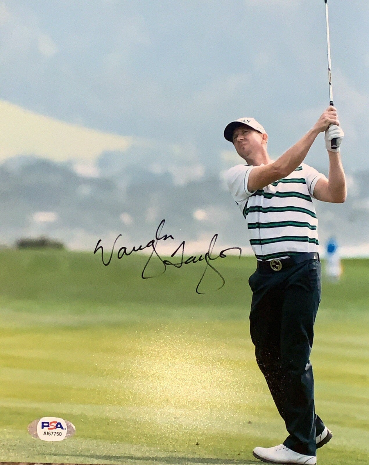 Vaughn Taylor Signed 8x10 Photo PSA/DNA PGA Gucci Autographed