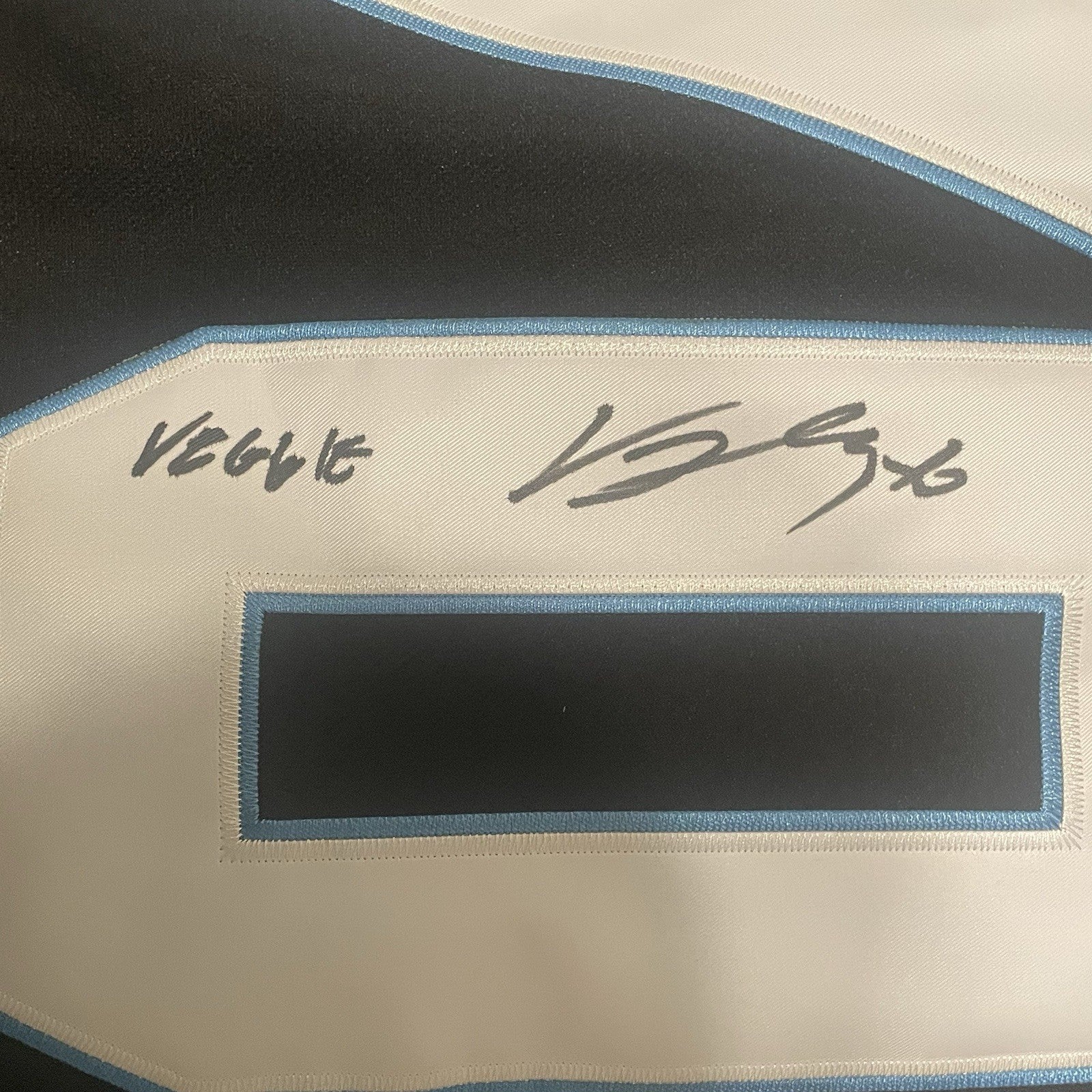 Karel Vejmelka Signed Jersey PSA/DNA Autographed Utah Mammoth Inscribed Veggie