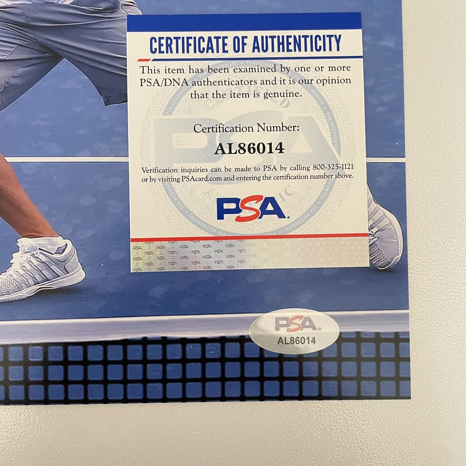 Mardy Fish Signed 8x10 Photo PSA/DNA Autographed Tennis Davis Cup