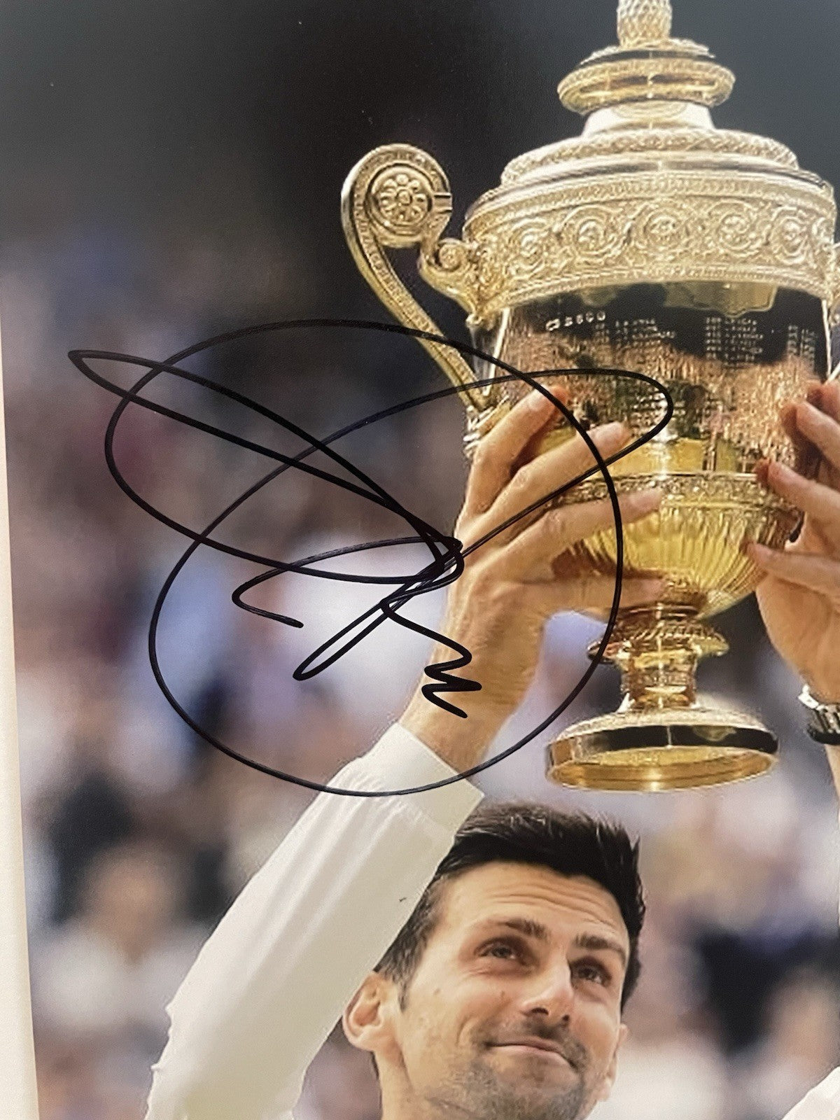 Novak Djokovic Signed 8x10 Photo PSA/DNA Autographed Tennis GOAT Wimbledon