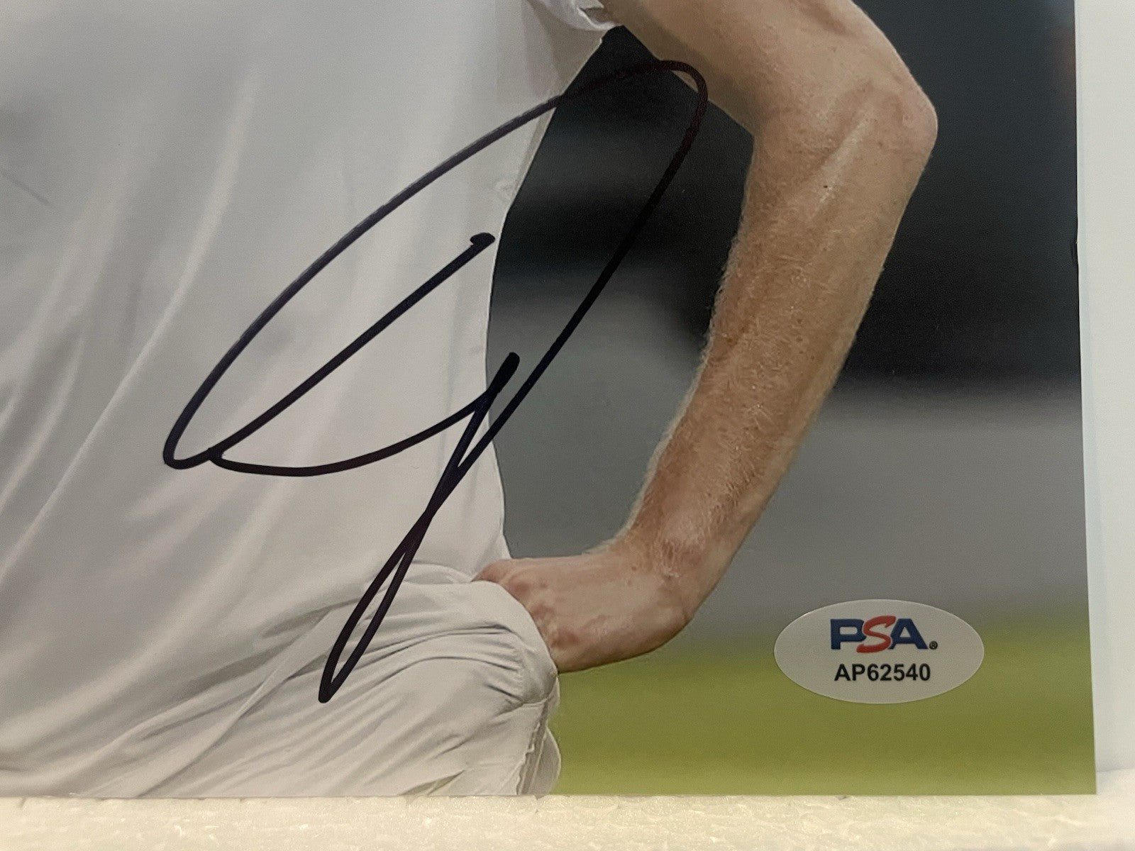 Jannik Sinner Signed 8x10 Photo PSA/DNA Autographed Tennis Wimbledon