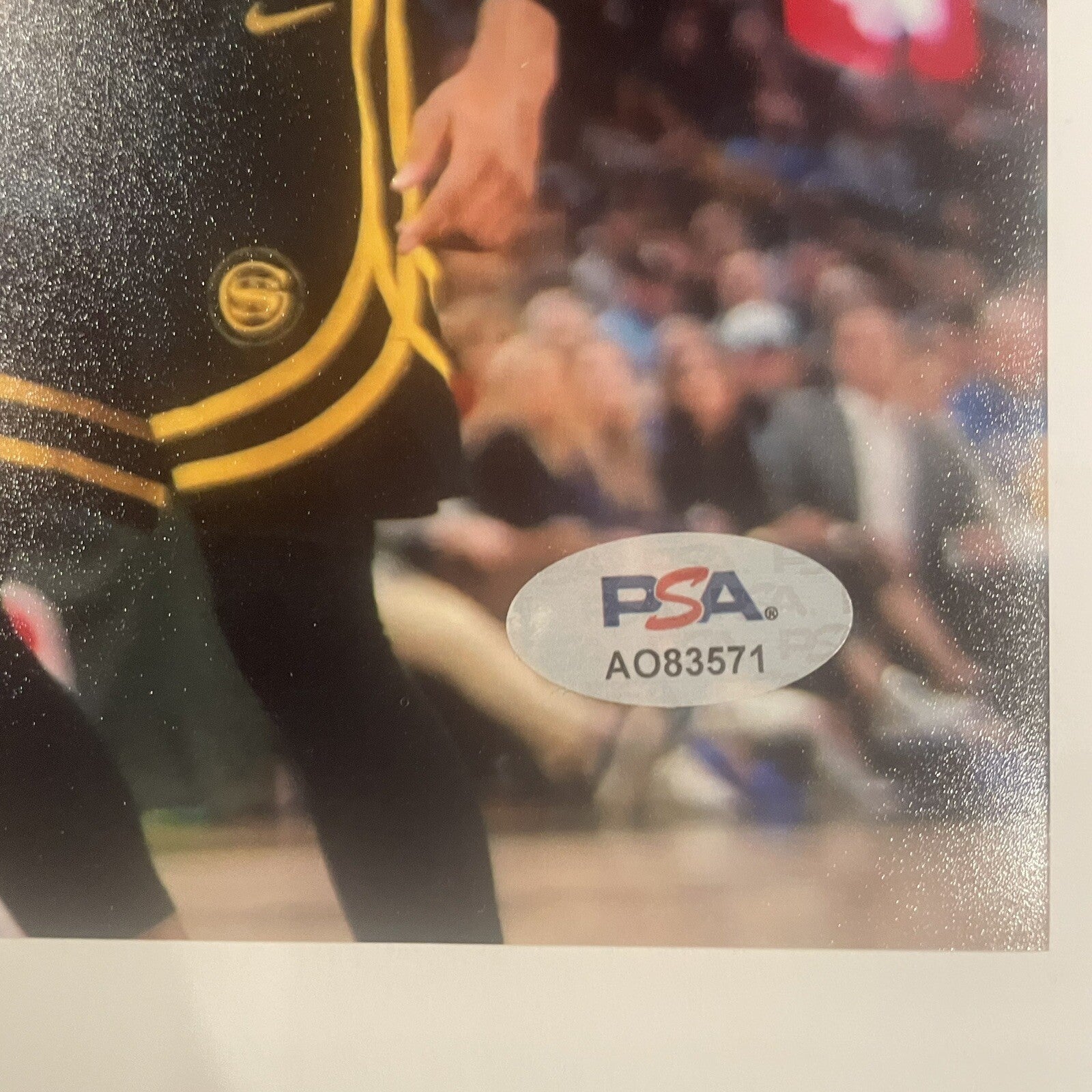 Trayce Jackson-Davis Signed 11x14 Photo PSA/DNA Autographed GS Warriors