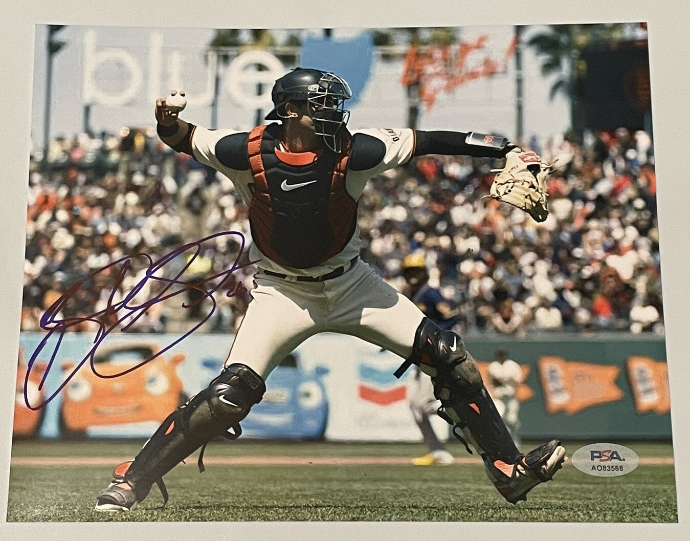 Blake Sabol Signed 8x10 Photo PSA/DNA Autographed San Francisco Giants Red Sox